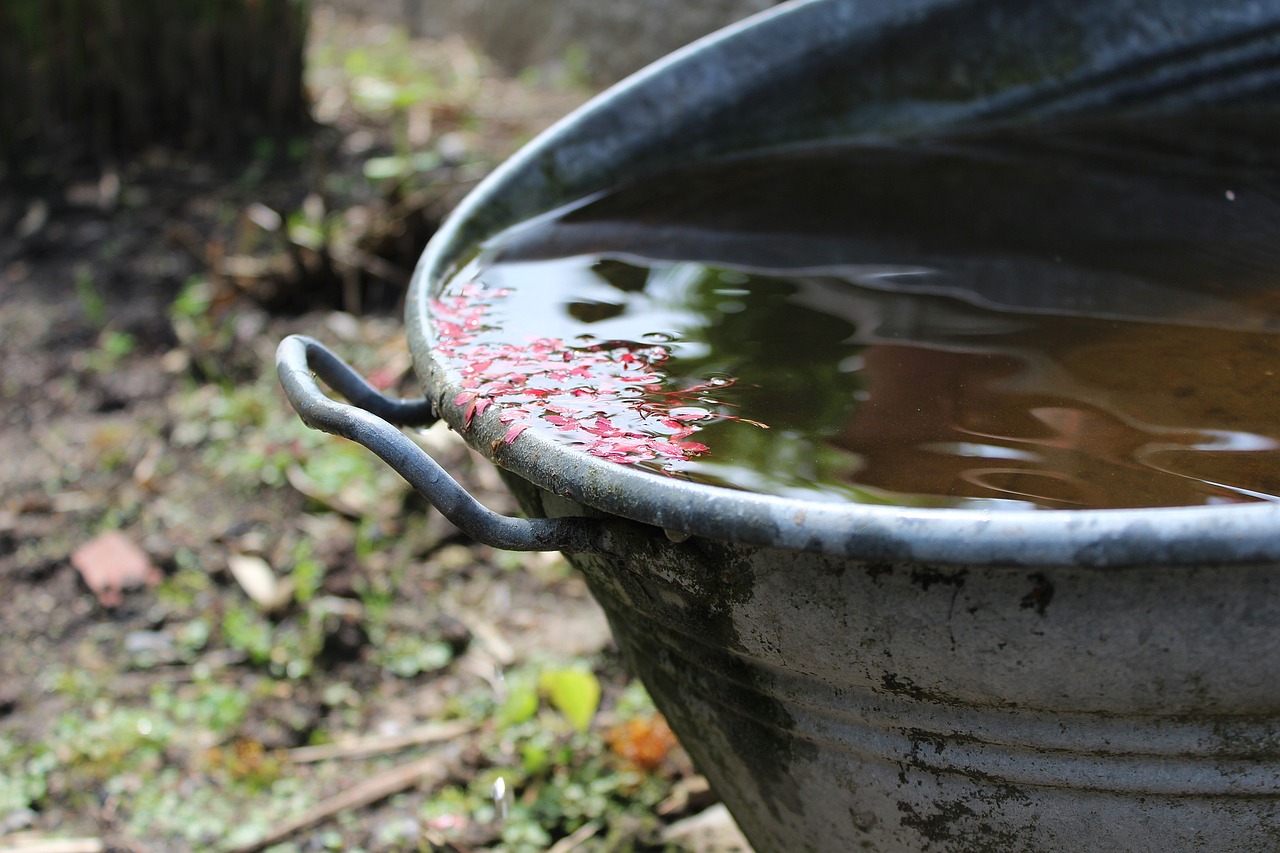 Eco-Friendly Innovations for a Cleaner Water System